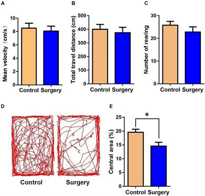 Identification of the Potential Key Long Non-coding RNAs in Aged Mice With Postoperative Cognitive Dysfunction